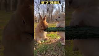 Very cute friends forever friends funnyviral funnyvideo trendingshorts