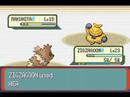 Zigzagoon Only Run: Gym Leader Brawly