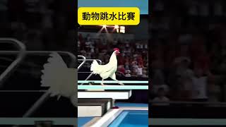 搞笑的動物運動會,動物跳水比賽#非AI視頻#真是幽默搞笑#shorts video#歡迎訂閱#看更多有趣視頻