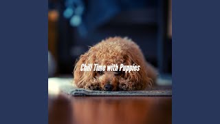 Scintillating De-Stressing Dogs