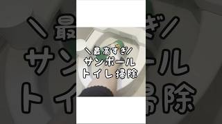 【最高すぎ】サンポールで丸ごとトイレ掃除！
