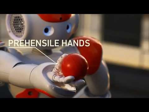 Potentiel opdragelse ærme NAO Next Gen : the new robot of Aldebaran Robotics - YouTube