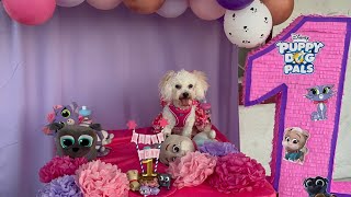 Fiesta de mi perrita Taffy