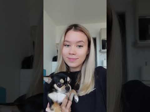 Непонятный чешский язык🤪 #shorts #чешскийязык #чешскийонлайн