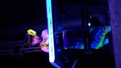 Lê Hồng Ngọc- Suối đàn T