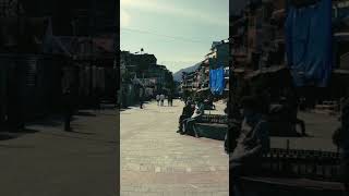 Old Manali vs New Manali- Where to Stay? #himachal #himachalpradesh #travelvlog #hillstation