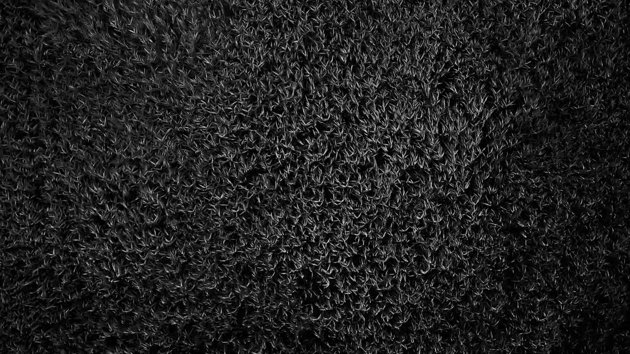 MUTO - Red Moon | Official Visualizer