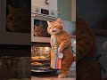 🐾 “냥이가 구워낸 빵, 결과는 대박?”#고양이 #쇼츠 #귀여운동물 #고양이영상 #funnycat #catshorts #viral
