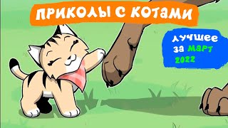 Приколы с котами. ЛУЧШЕЕ ЗА МАРТ 2022 | Мемозг