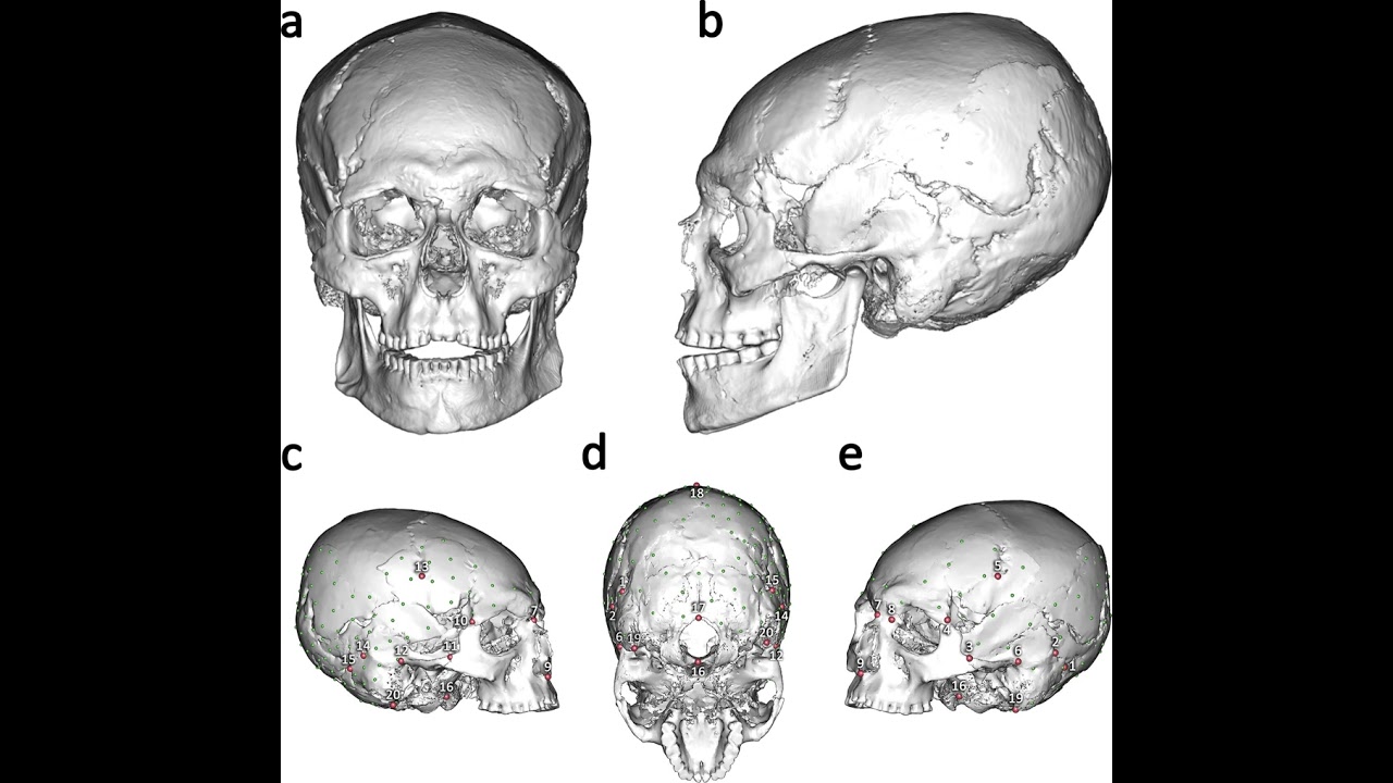 Shaping Identity in the Late Ice Age: Europe