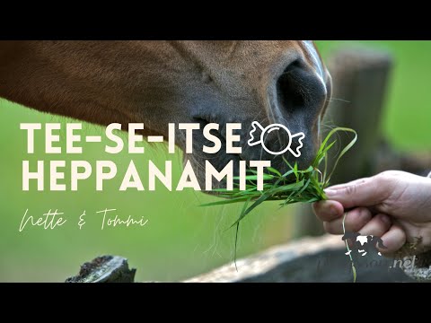 Video: Tee Se! Näytä - Luova Festivaaliesitys Koko Perheelle