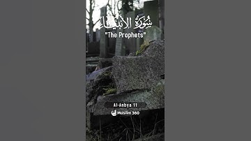 Surah Al-Anbiya 11 - Hindi/Urdu Audio |سورة الأنبياء #surahalanbiya #muslim360