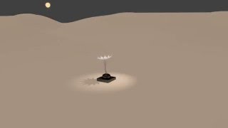 Career Overview Mirror Lotus Animation