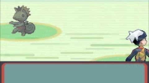 Pokemon Ruby Version Video Walkthrough - Part 27