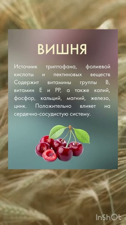 Польза вишни - YouTube