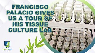 Francisco Palacios gives us a tour of his Tissue Culture Lab