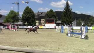 2016Quarinarr105Darmersellenjuly