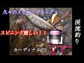 久々のスピニングタックルで渓流釣り/ABUカーディナルC3