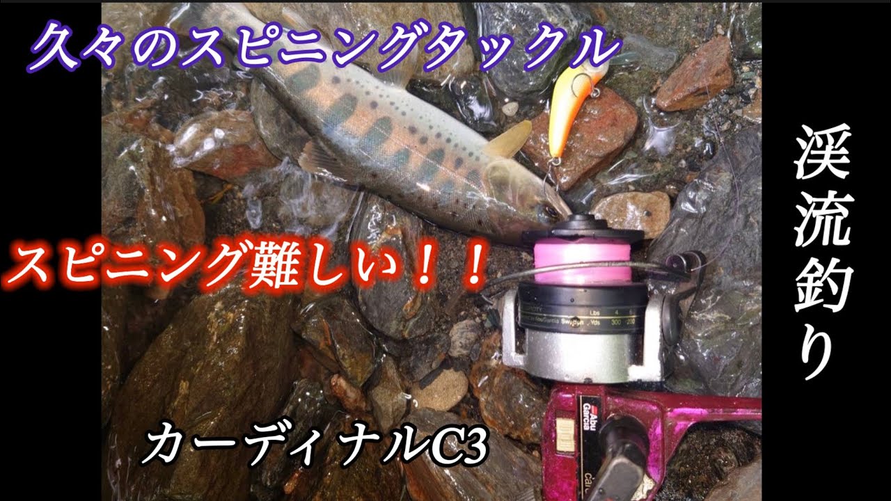 久々のスピニングタックルで渓流釣り/ABUカーディナルC3