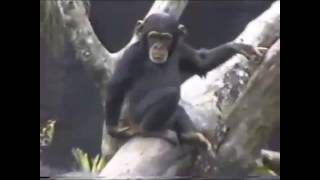 When your butt itch Information