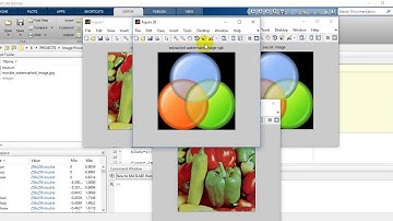 Blind dual watermarking for color images authentication and copyright protection|best matlab project