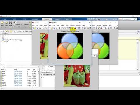 Blind dual watermarking for color images authentication and copyright protection|best matlab project