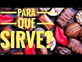 CHOCOLATE 🍫 BENEFICIOS para la salud, PODER MAGICO Y ESOTERICO, propiedades MEDICINALES