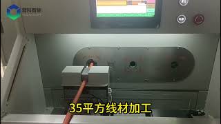 High Speed Wire stripping machine for high voltage wire cable Guide