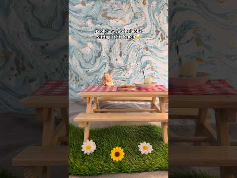 Mr. Marshmallow has a Hamster Safe Picnic ❤️🥰 #shorts #hamsters #hamster #pets #pet