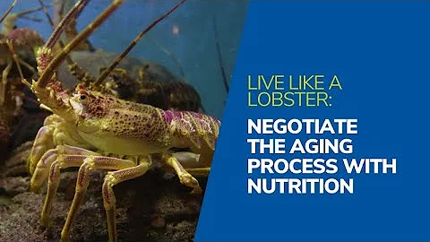 Live like a Lobster: Negotiate the Aging Process w...