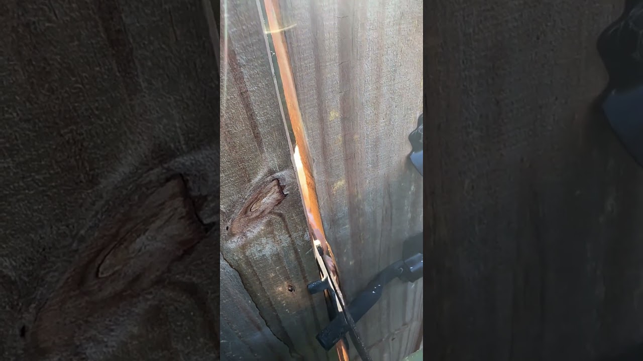 When YOUR dog knows how to open the gate?!?