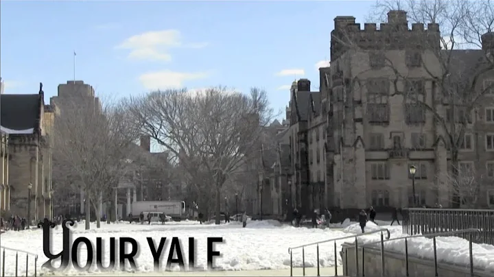 YTV: Your Yale, Your Week, Your News