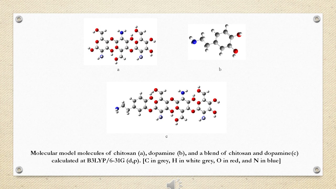 Chitosan-Dopamine Blend with Iron Oxide Nanoparticles for Tissue Engineering