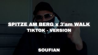 Spitze Am Berg - 3'Am Walk - [Slowed + Reverb ✘ Tiktok Remix]