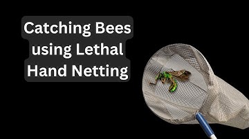 Handy Bee Manual - Lethal Hand Netting Techniques