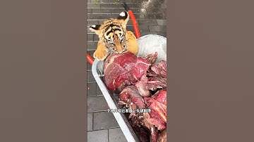 #shortsviral #unloading #youtubeshorts #shorts