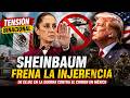 Tensión binacional: Sheinbaum frena la injerencia de EE.UU. en la guerra contra el crimen en México
