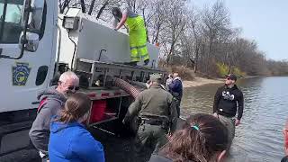Trout Stocking At Levittown Lake