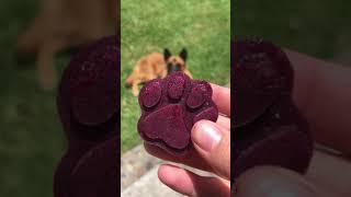 Gomitas frutales para perros y gatos