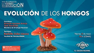 Evolución de los hongos | Ciclo Los viernes de la evolución