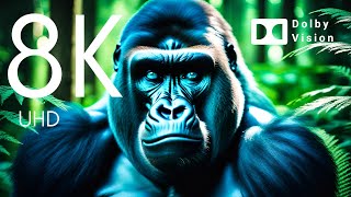 ▶️ A NATUREZA FERVILHANDO DE VIDA - 8K HDR 60FPS - Dolby Vision