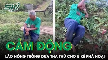 Lão Nông Trồng Dưa Cảm Ơn Mạnh Thường Quân, Viết Đơn Bãi Nại Tha Thứ Cho 5 Kẻ Phá Hoại | SKĐS