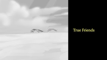 「MAP - Part 2」True friends for Meowspice