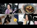 LIFE UPDATE: Home Gym, Baby Kittens?! + more