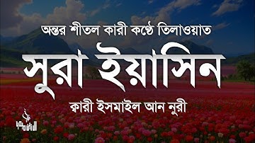 সূরা ইয়াসিন ( سورة يس‎) - অত্যন্ত দরদী তেলাওয়াত । By ismail An Nuri