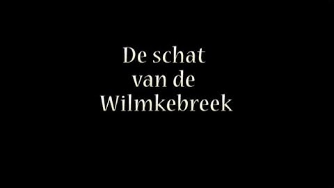 De Bende van de Kadoelen: De schat van de Wilmkebreek