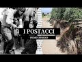 I POSTACCI | La tragedia di Vermicino