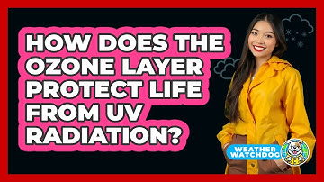 How Does The Ozone Layer Protect Life From UV Radiation? - Weather Watchdog