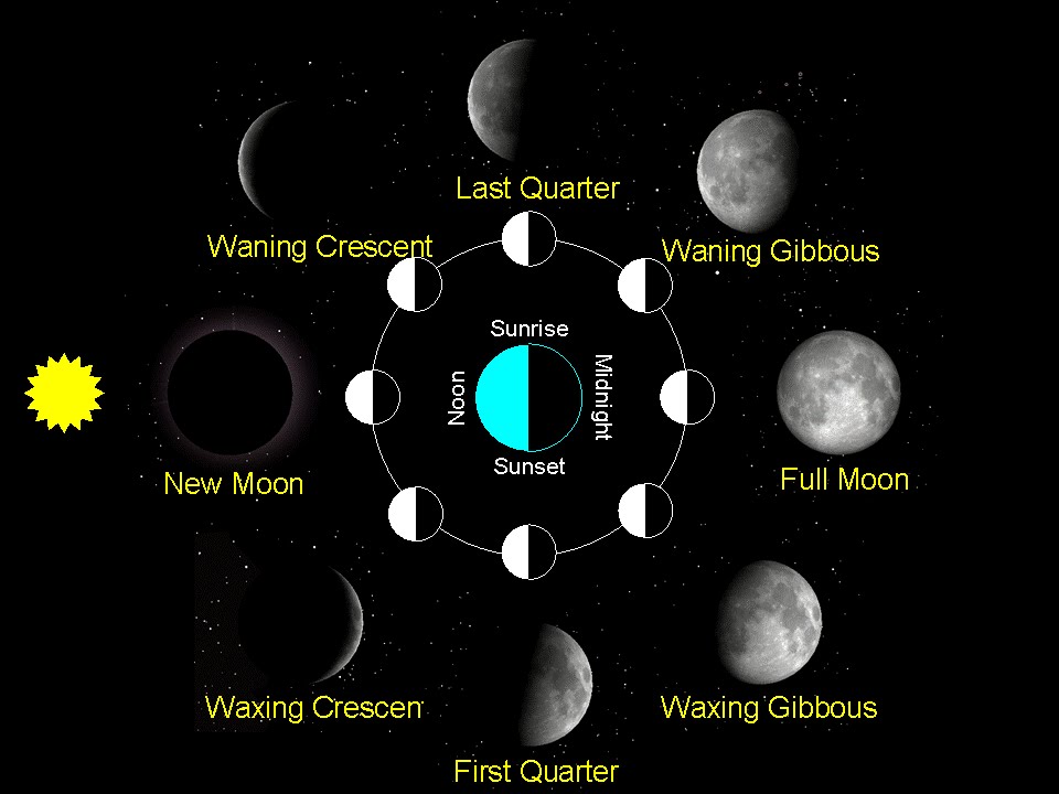 Lunar Moon Chart