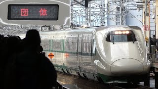 【E2系200系カラー・まもなく定期運行終了・団体臨時列車として運行